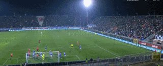 1736891853653000178.gif 科米71.gif